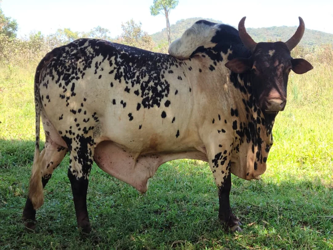 AKI Solidarité Image 2